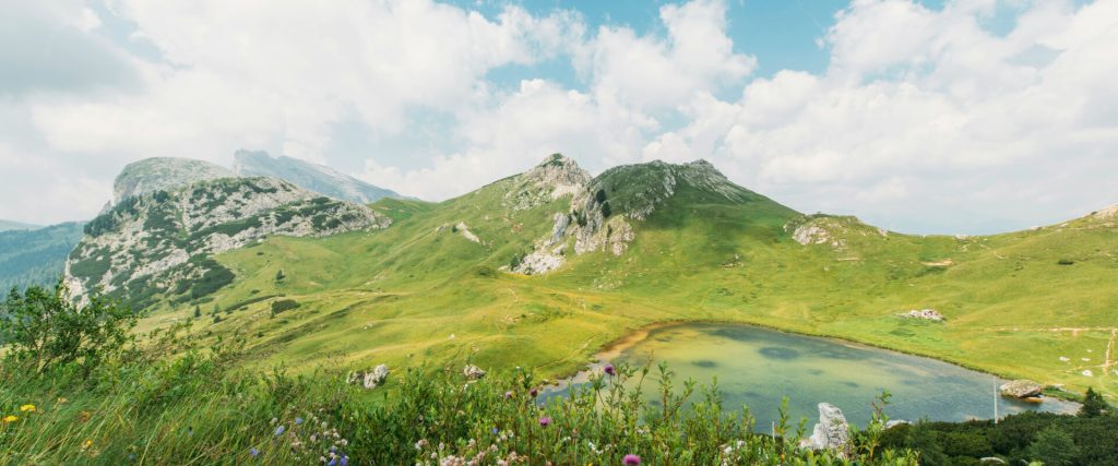 Home Home Bg 1024x427 1